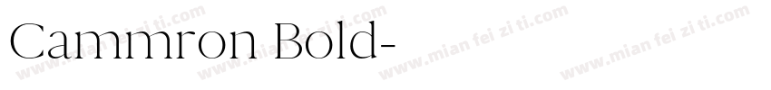 Cammron Bold字体转换